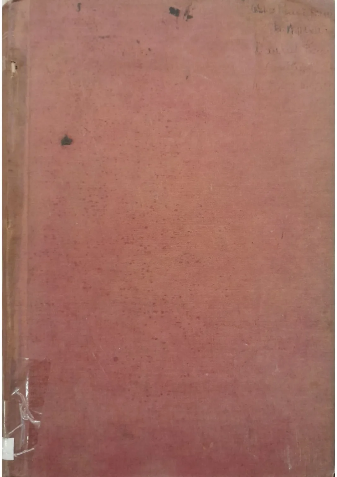 Madhumalti