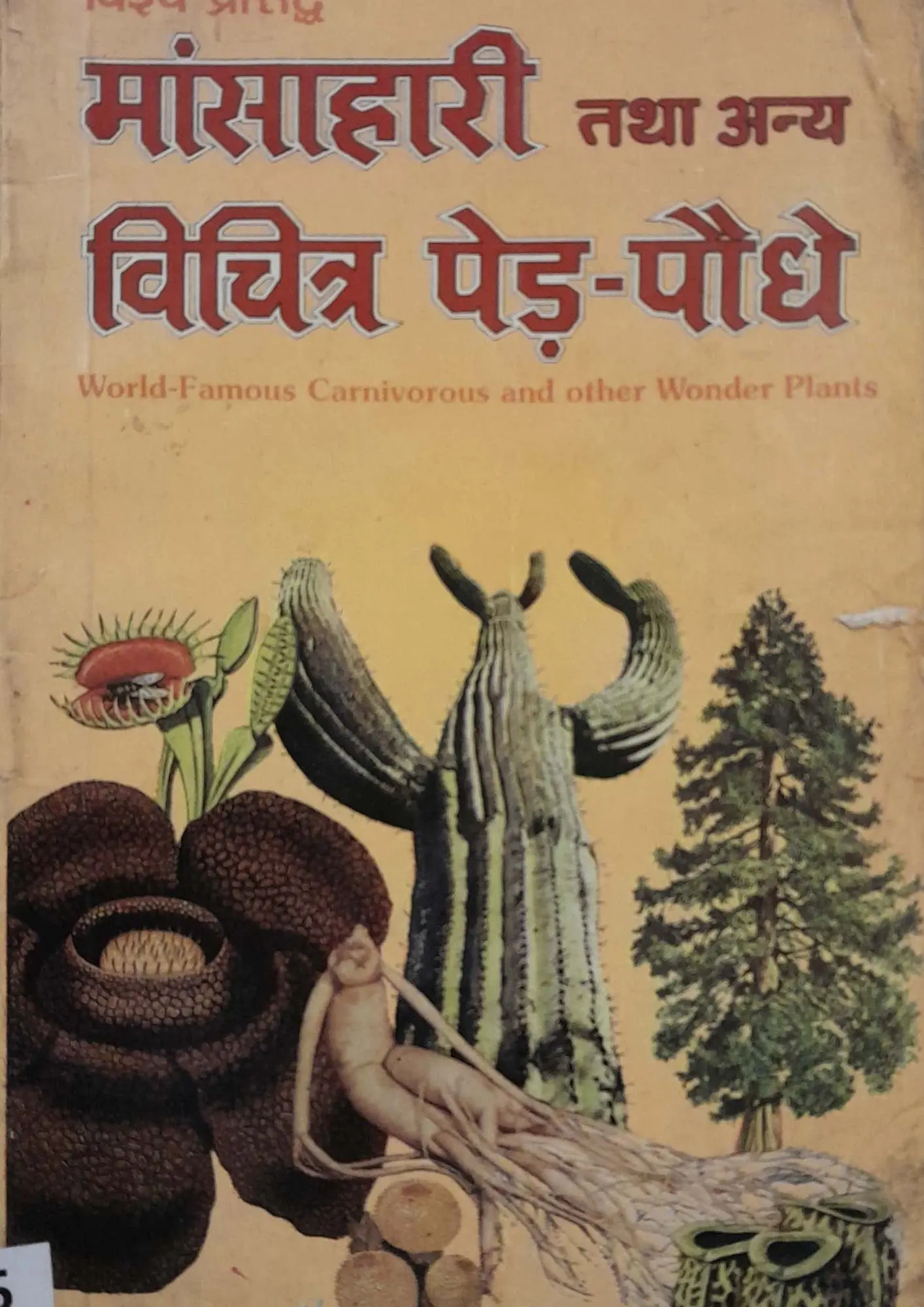 SamayYaan - Cultural Centre and Library Mansahari Tatha Anya Vichitra Ped-Paudhe