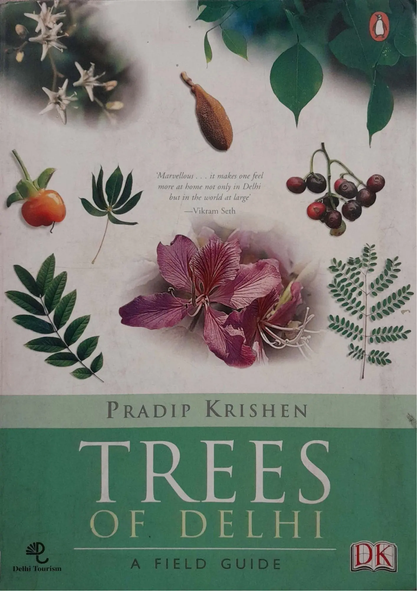 Trees of Delhi