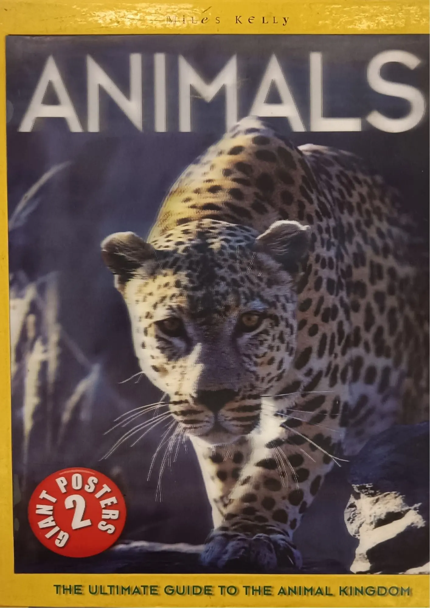 Animals