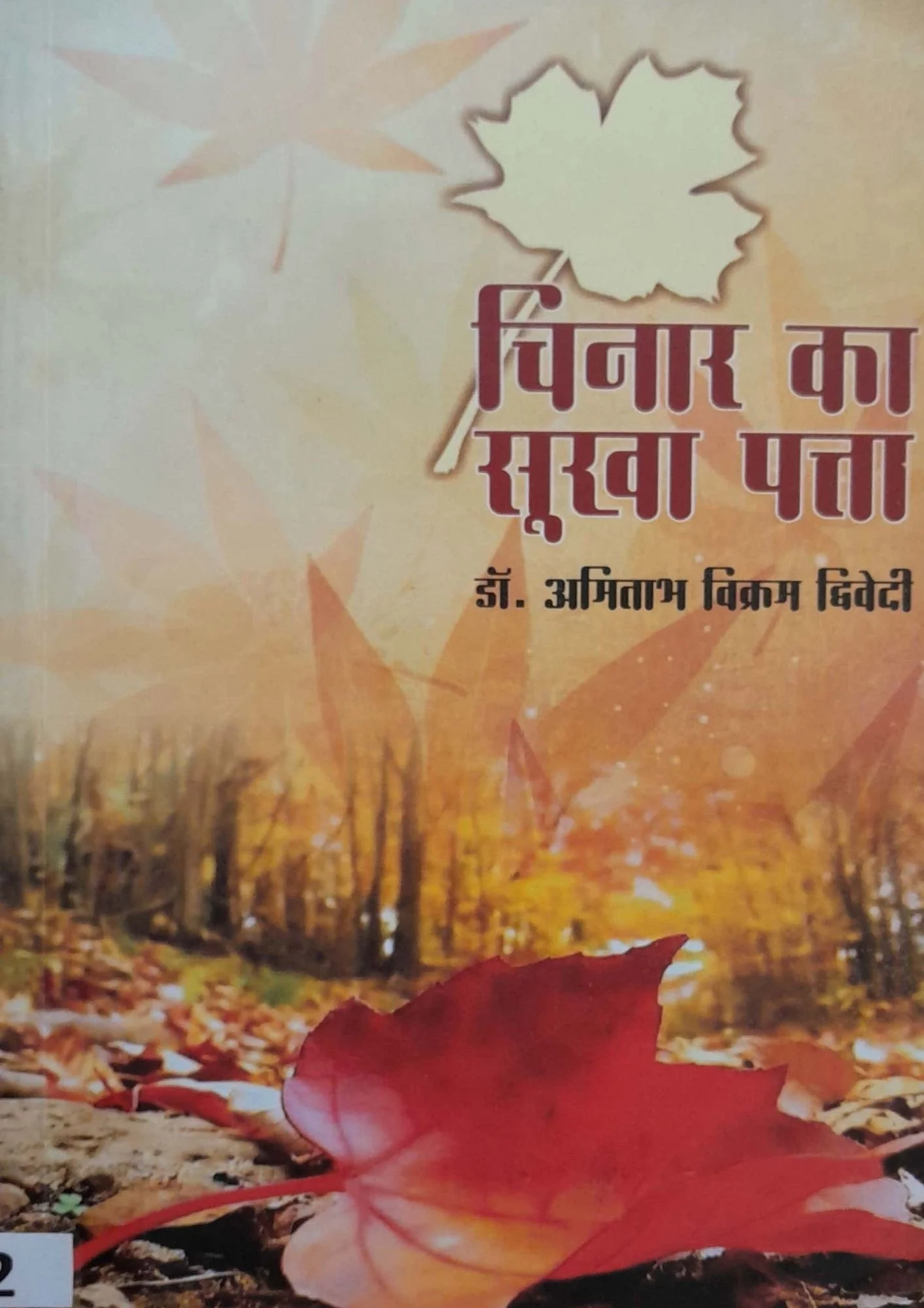 SamayYaan - Cultural Centre and Library Chinar Ka Sukha Patta