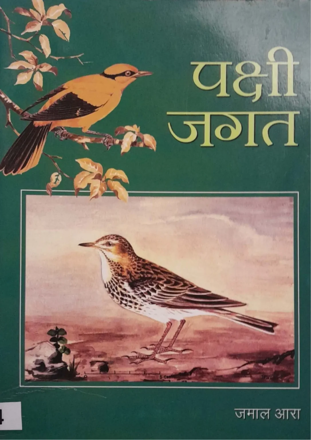Pakshi Jagat