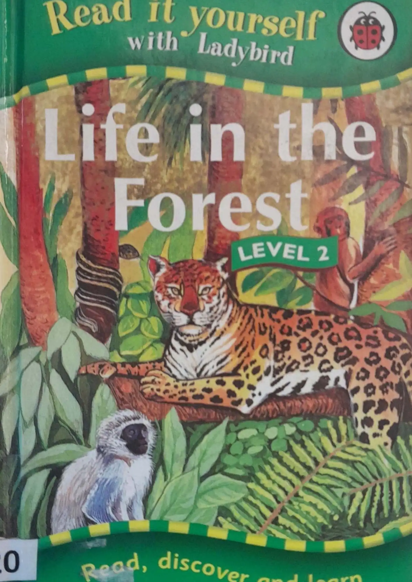 Life in the Forest Level-2