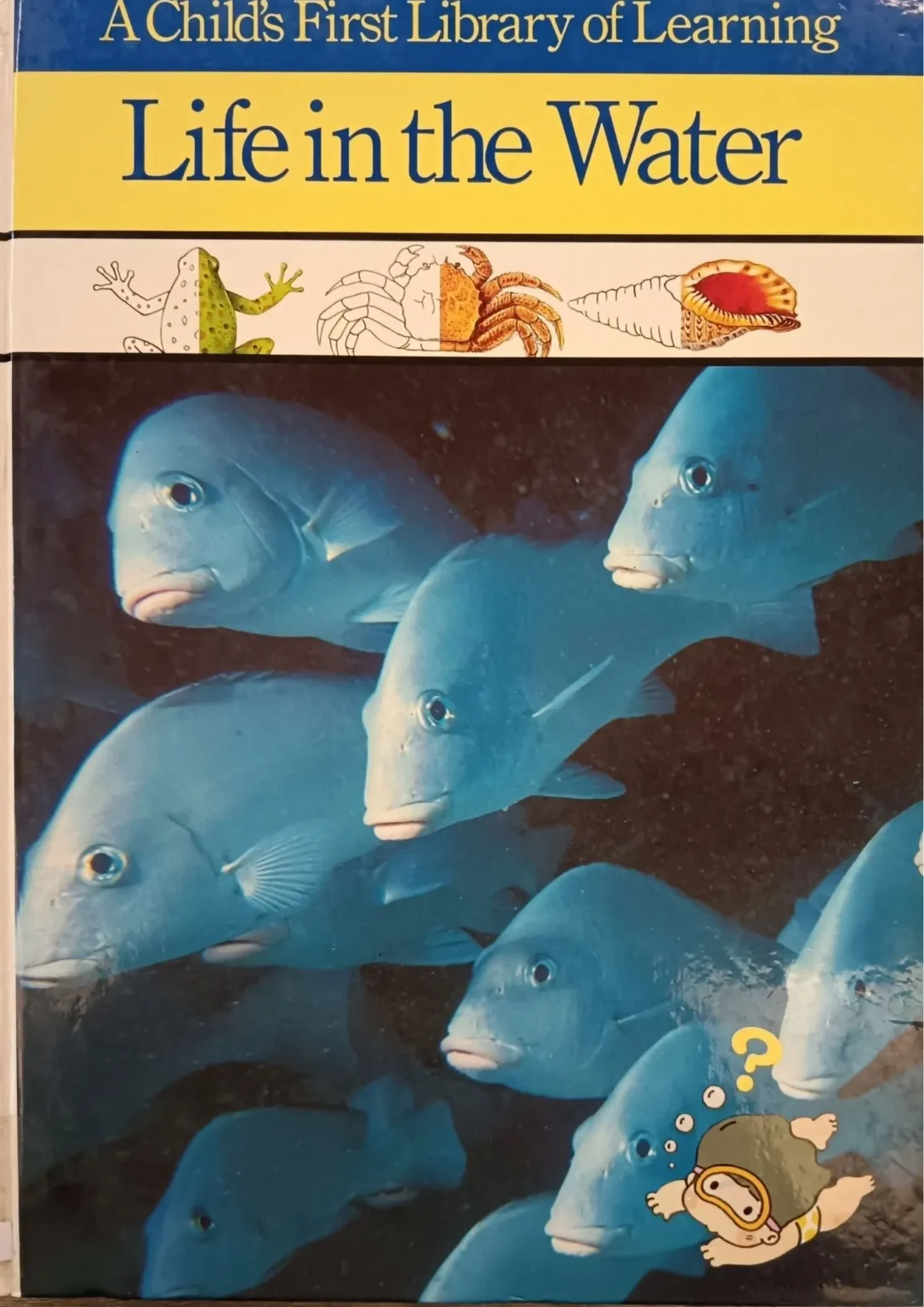 Life in the Water